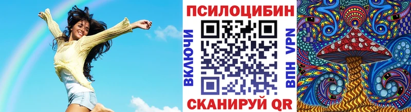 Псилоцибиновые грибы Psilocybe  Купить  Мценск 